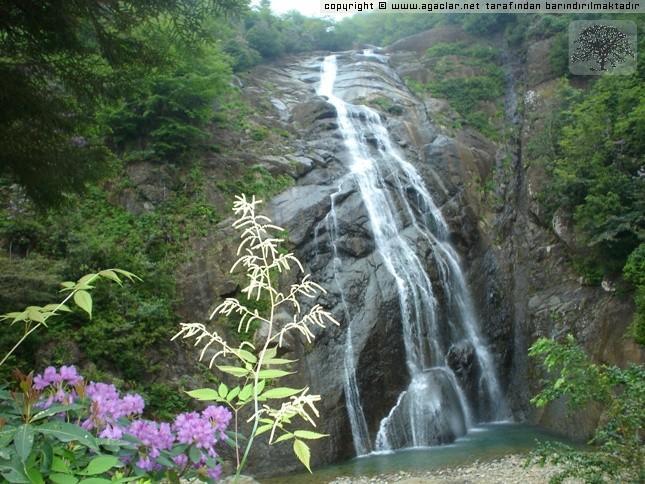 Cayeli Kent Apart ภายนอก รูปภาพ